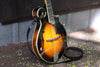 Bluegrass Mandolin Strap