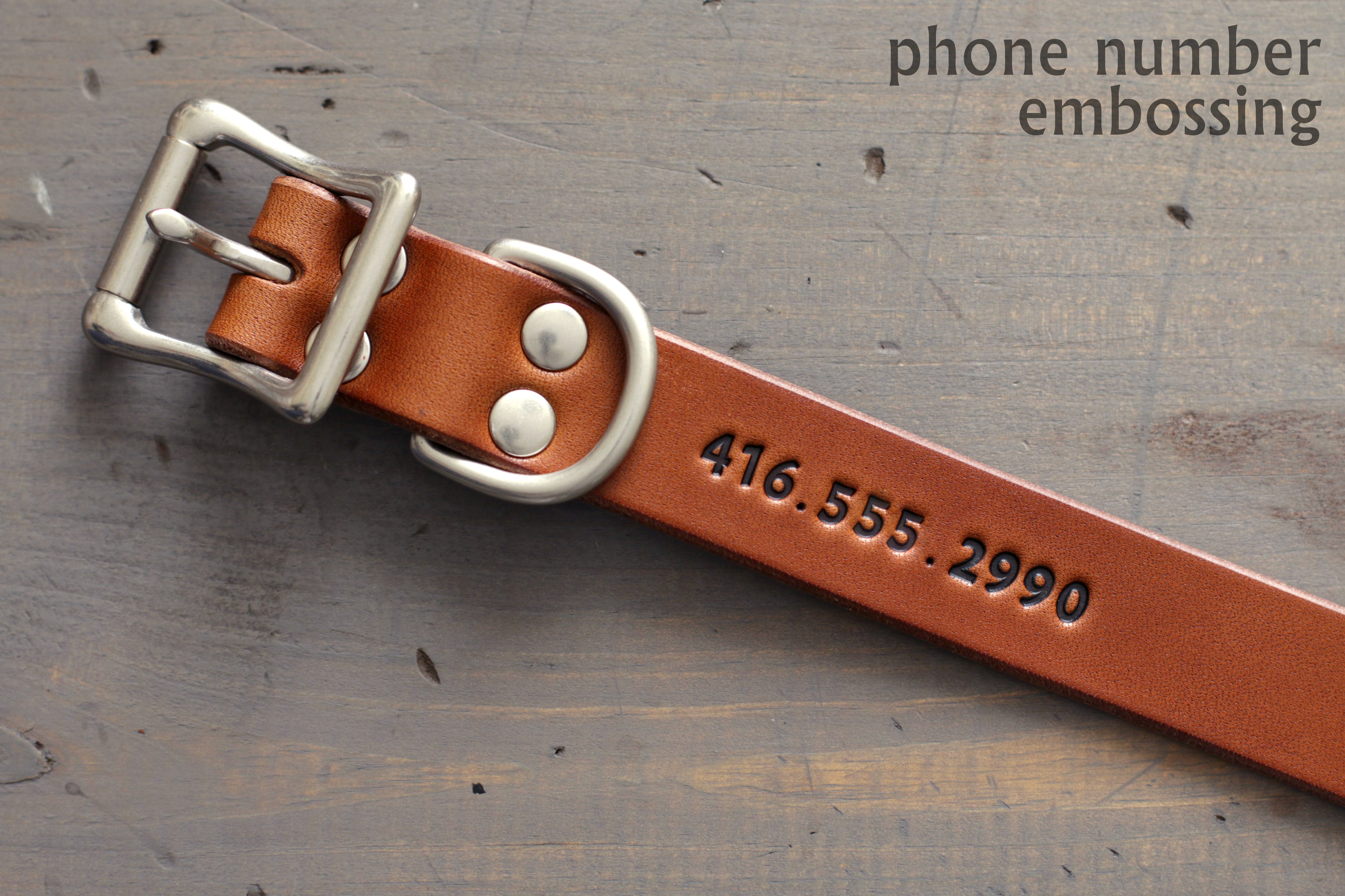 Custom Dog Collar with Emergency Contact