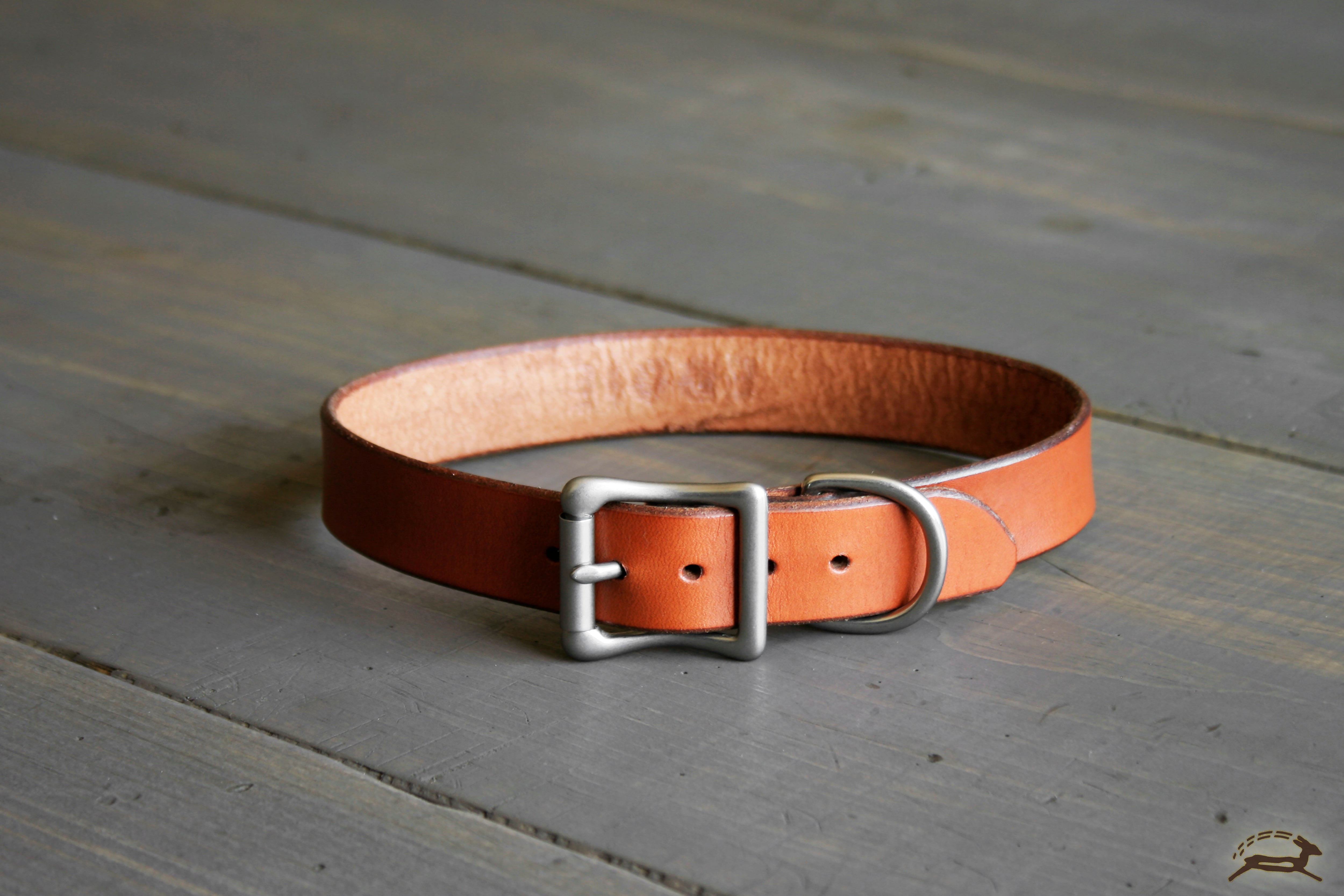 Dog Collar Nickel Hardware