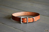Dog Collar Nickel Hardware