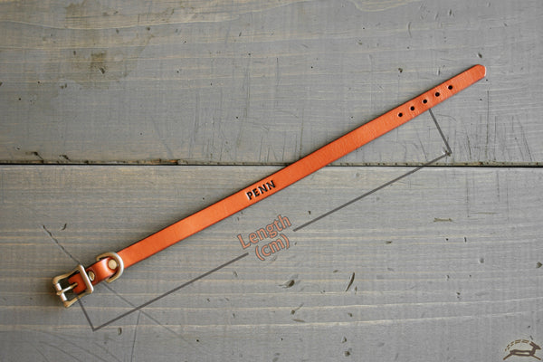 Leather cat collar size