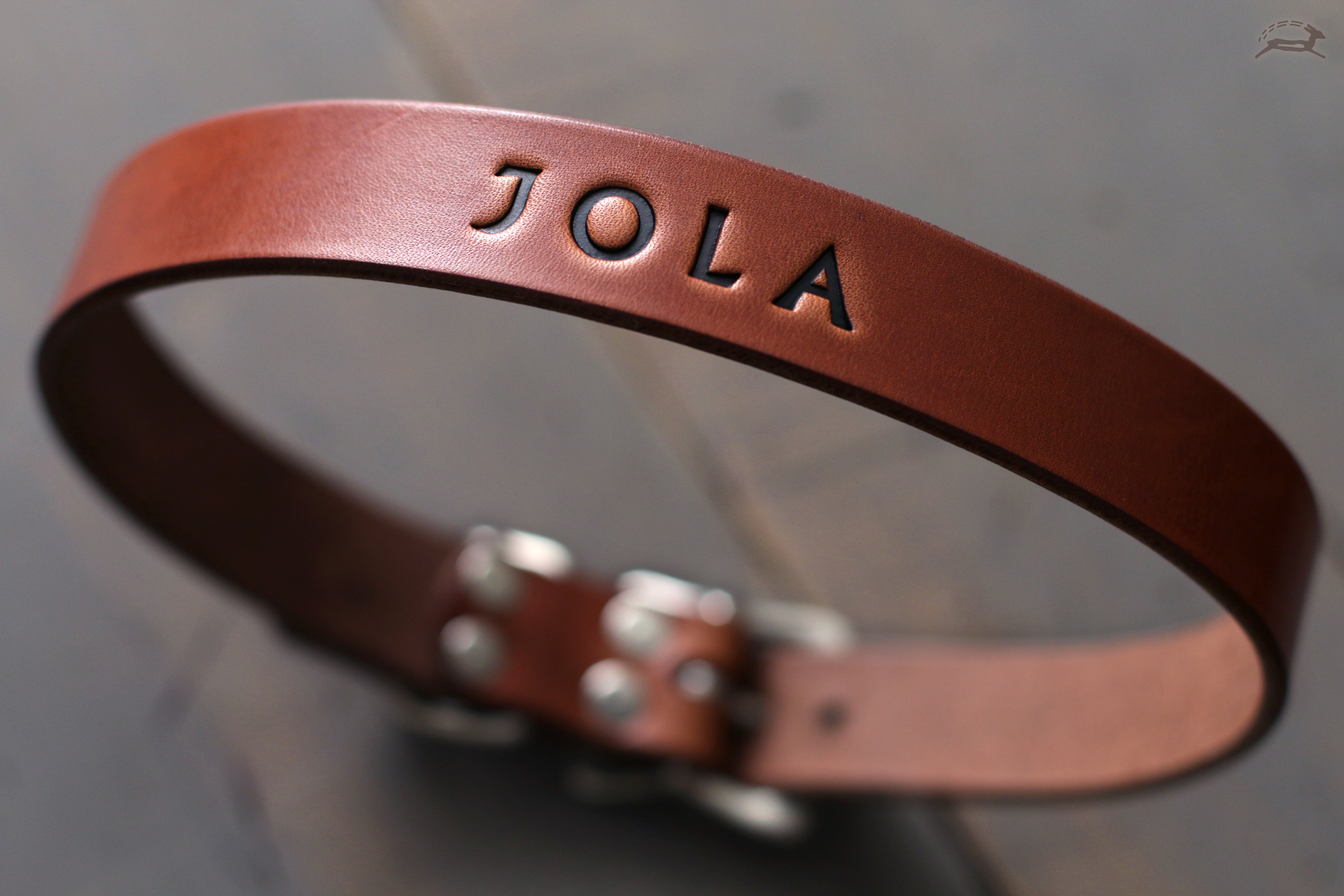 Unique Personalized Dog Collar