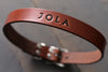 Unique Personalized Dog Collar