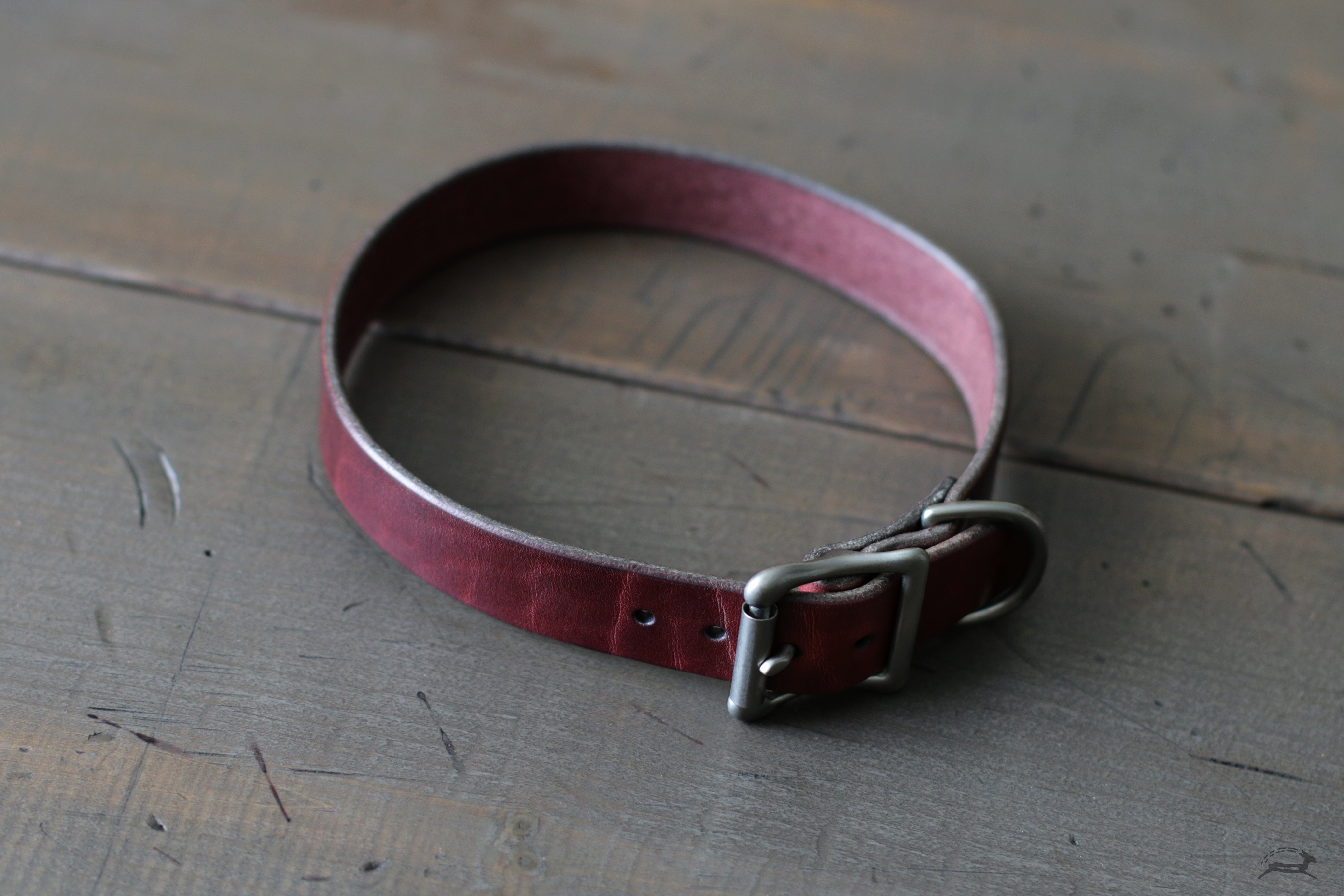 harness leather dog collar