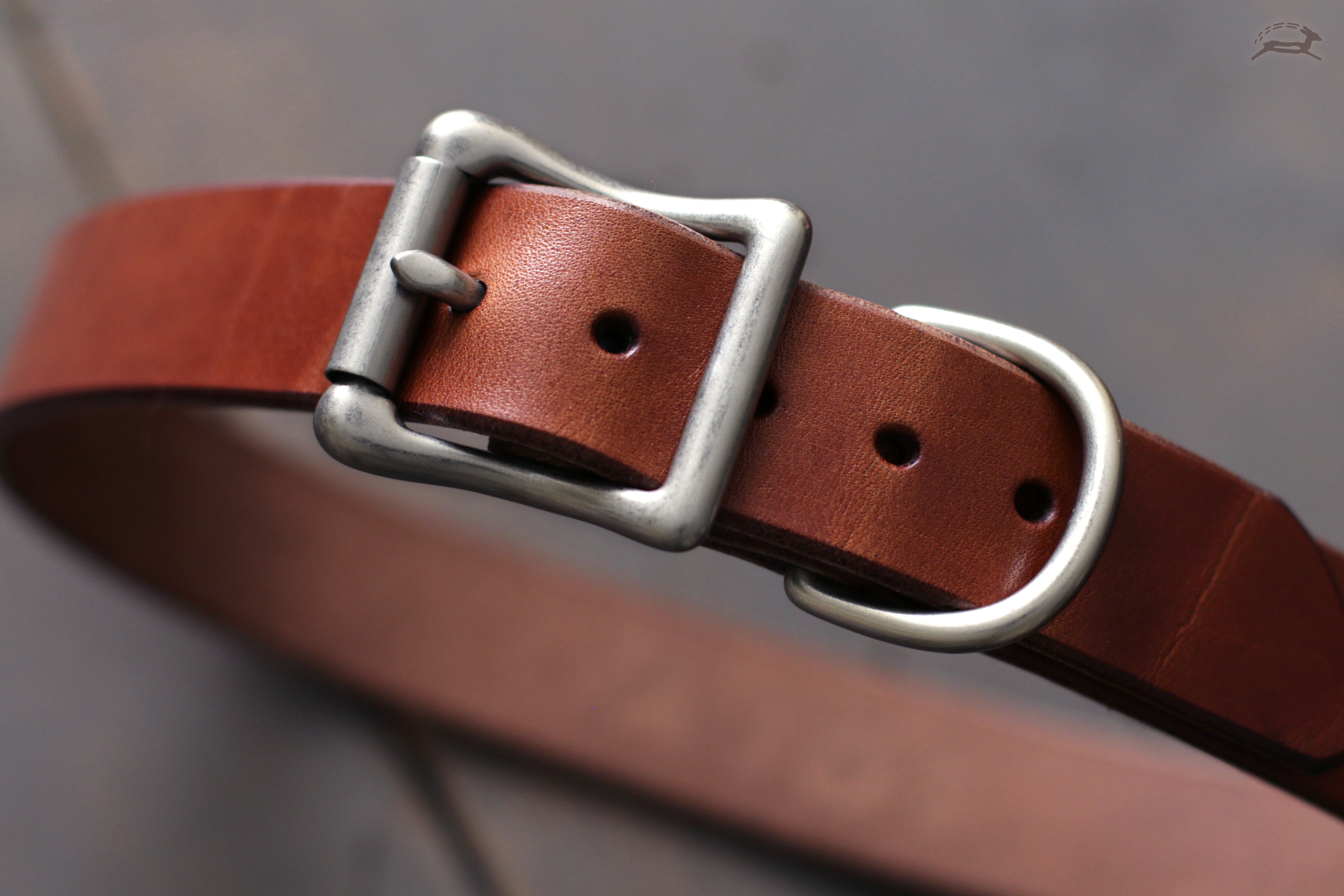 heavy-duty dog collar