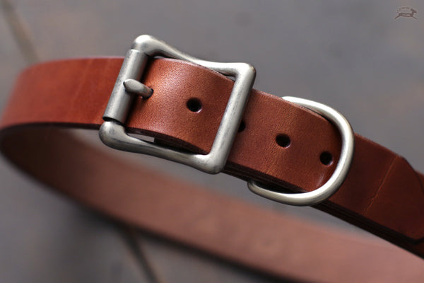 heavy-duty dog collar